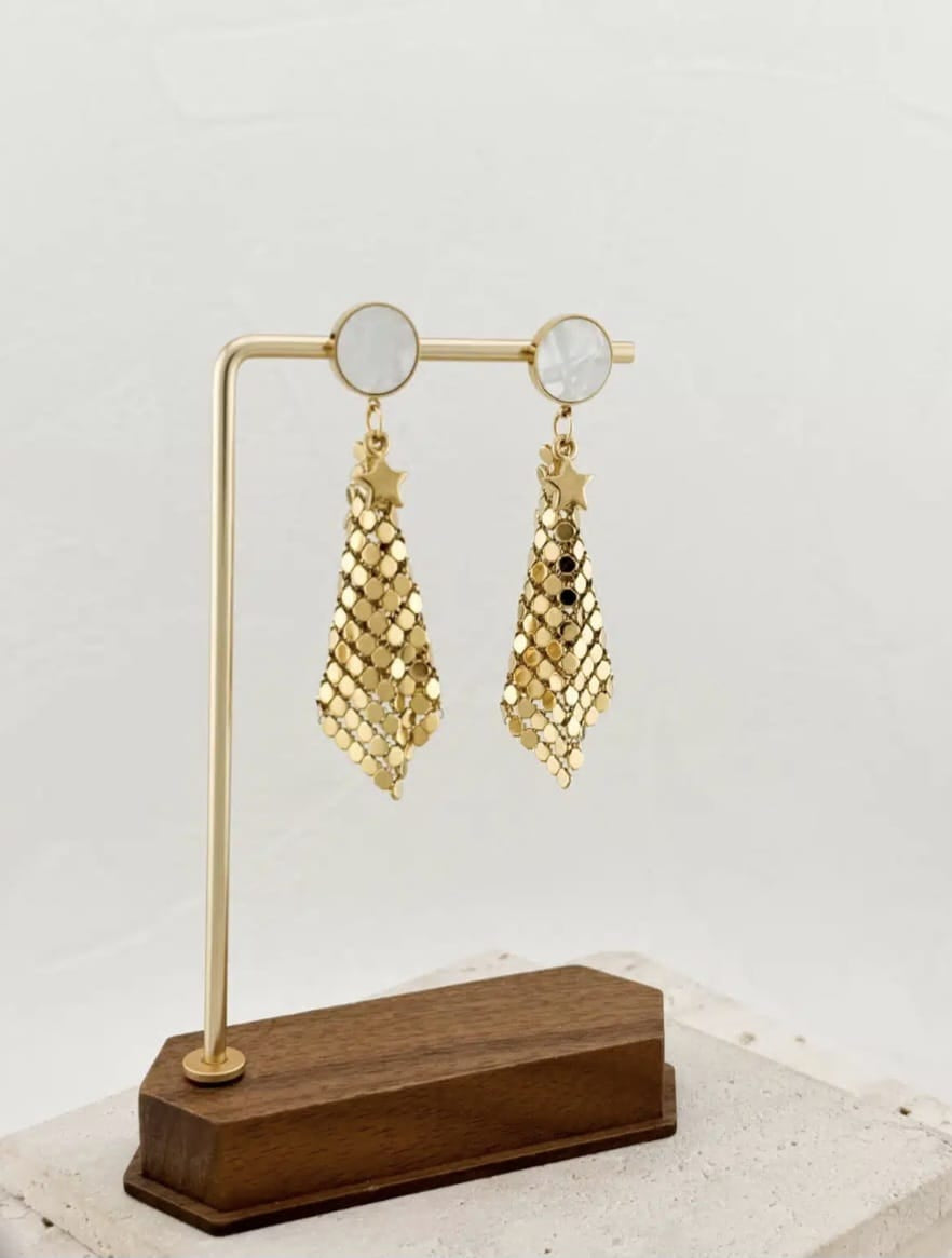 Stainless Steel Earrings