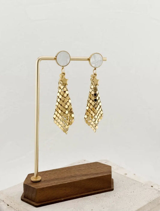 Stainless Steel Earrings